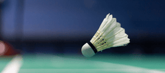 Selecting the Ideal Shuttlecock for Your Badminton Game